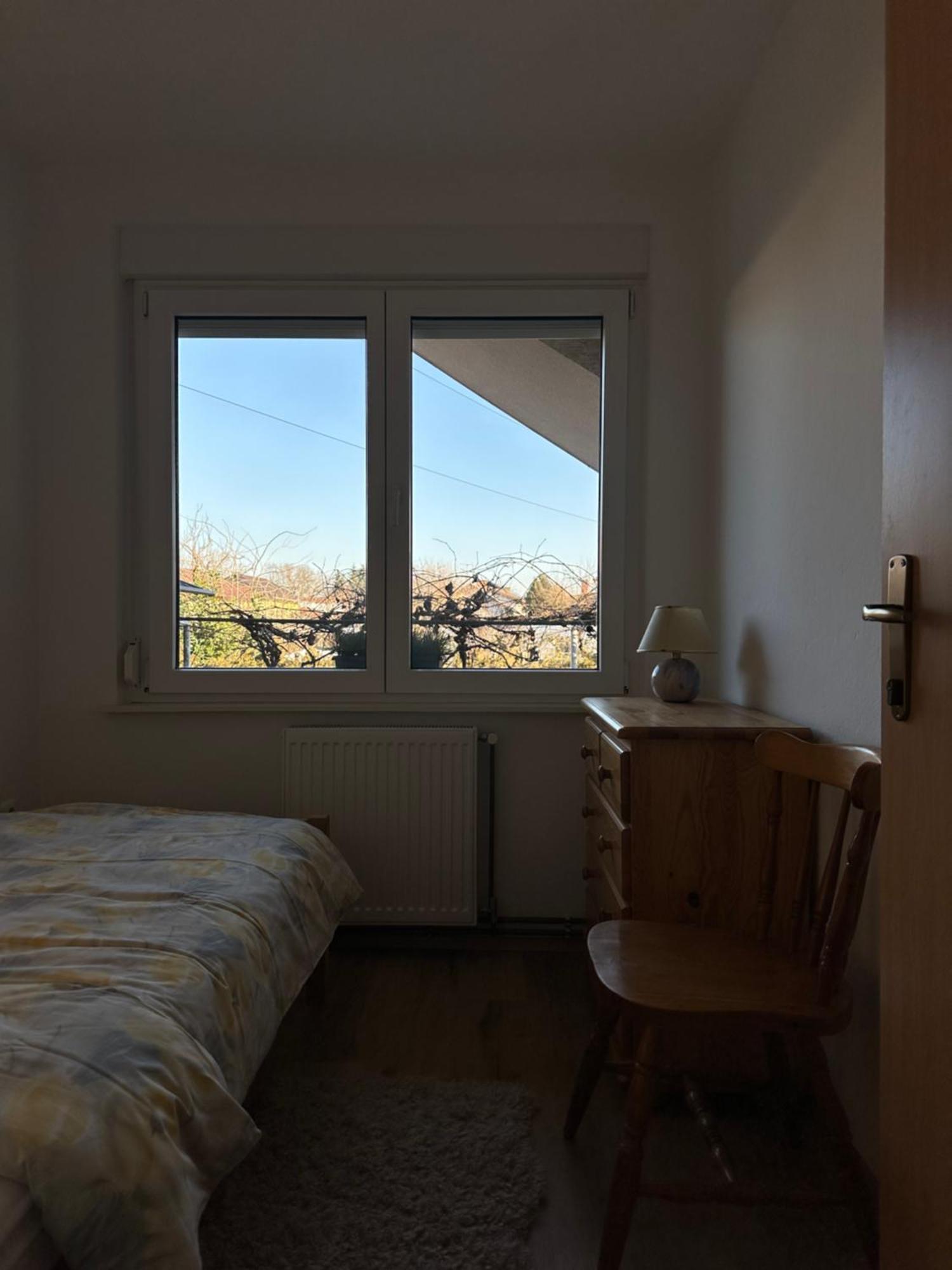 Vanessa Apartment Ljubljana Kültér fotó